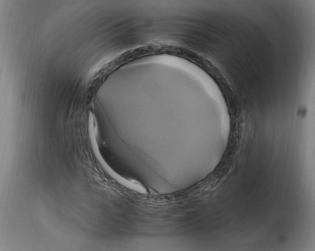 X0000114700919200911181313