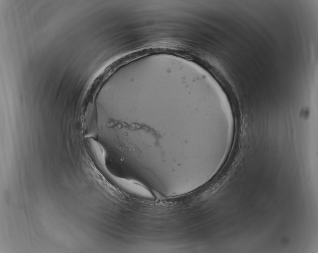 X0000114700923200911181313