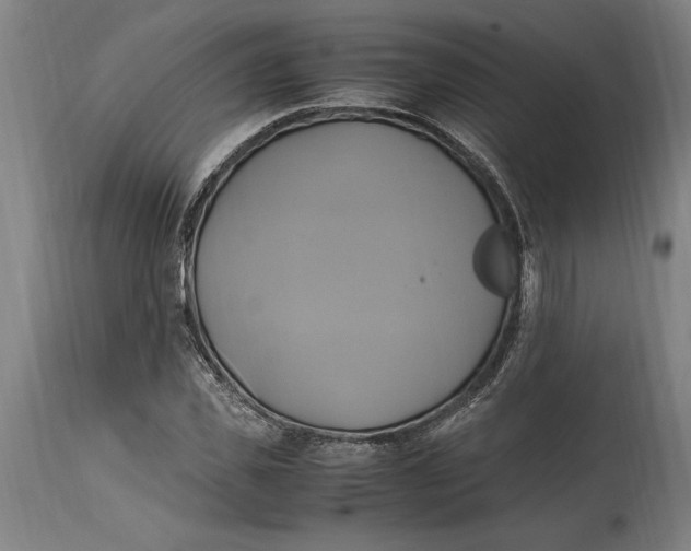 X0000114700925200911181313