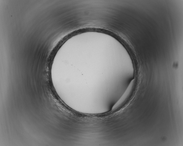 X0000114700926200911181313