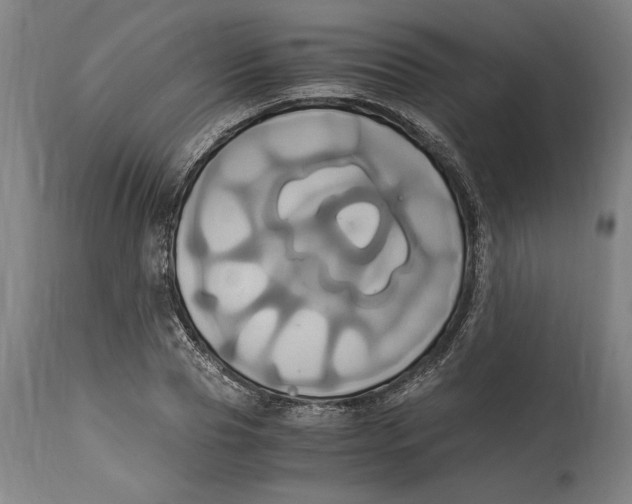 X0000114700929200911181313