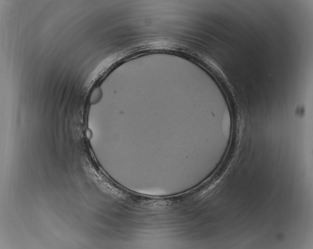 X0000114700930200911181313