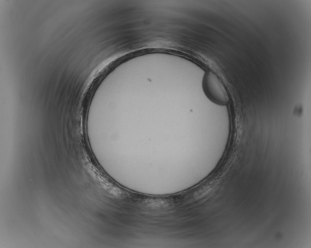 X0000114700931200911181313