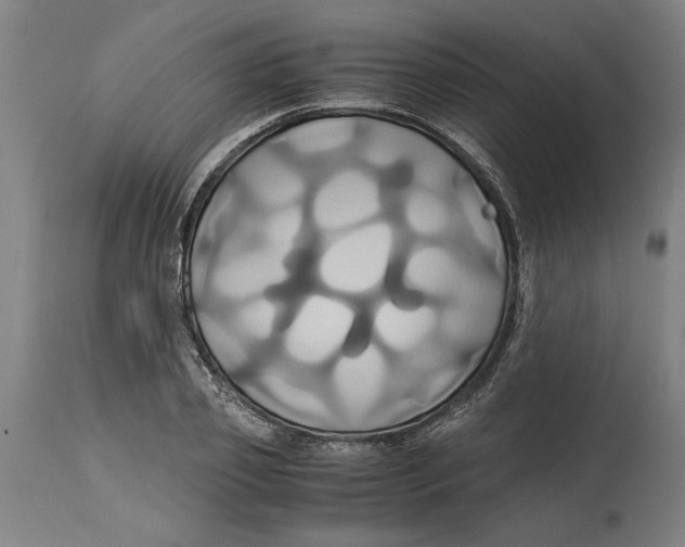 X0000114700933200911181313