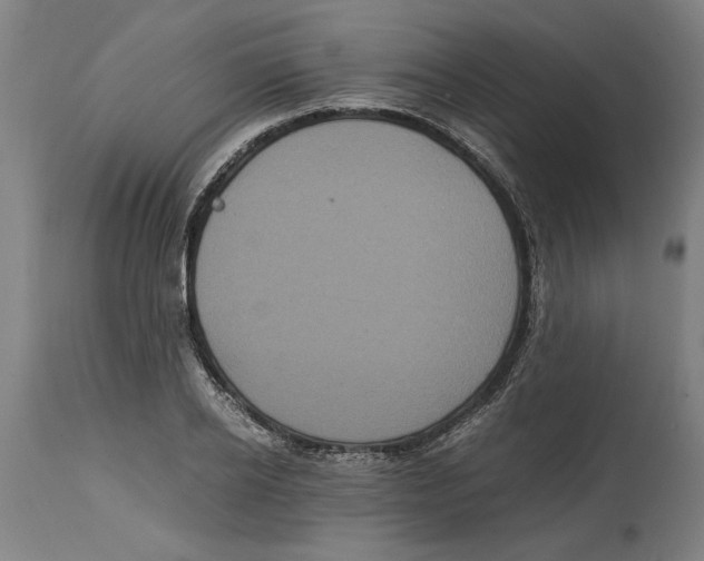 X0000114700934200911181313