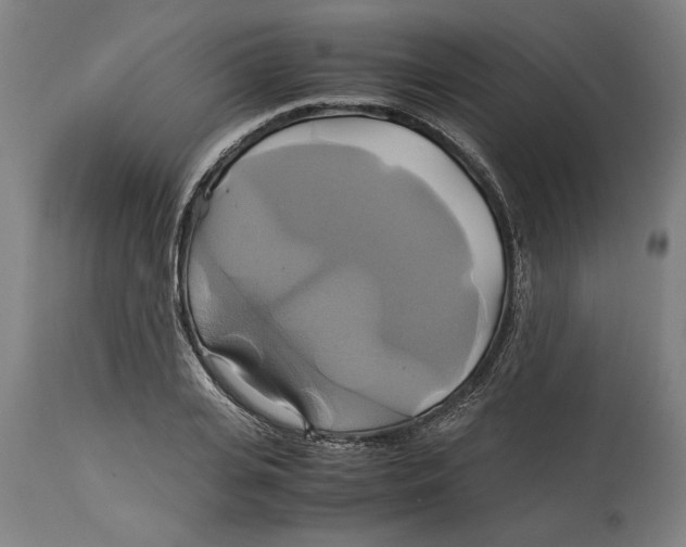 X0000114700935200911181313