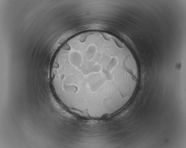 X0000114700938200911181314