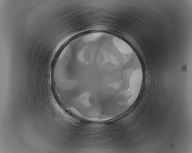 X0000114700939200911181314