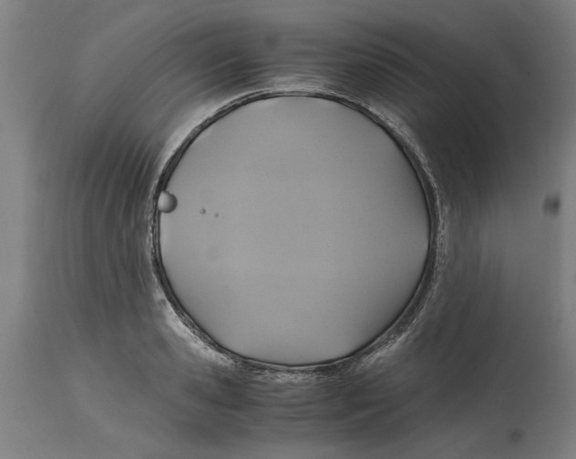 X0000114700941200911181314