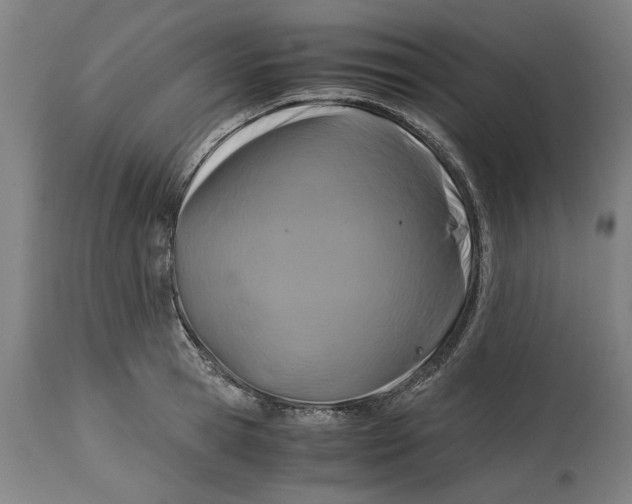 X0000114700945200911181314