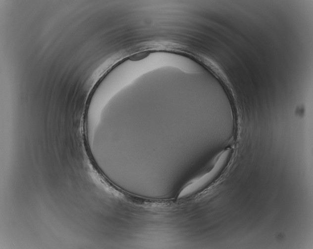 X0000114700946200911181314