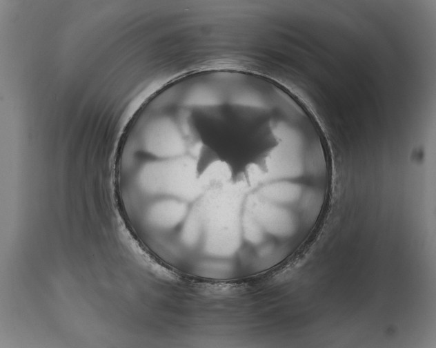 X0000114700949200911181314