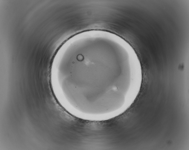 X0000114700950200911181314