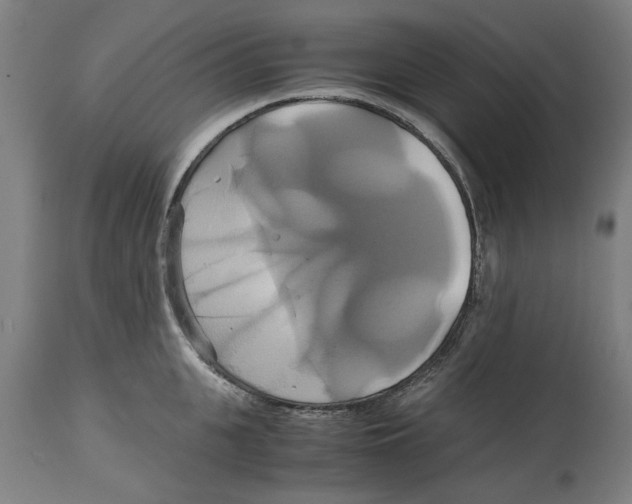 X0000114700951200911181314