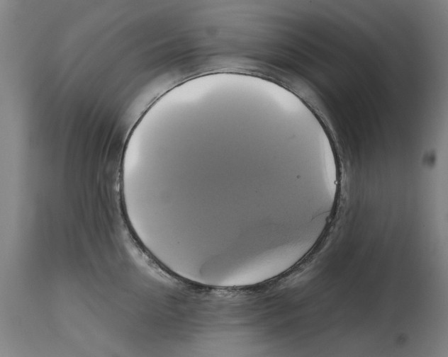 X0000114700954200911181314