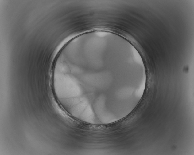 X0000114700955200911181314