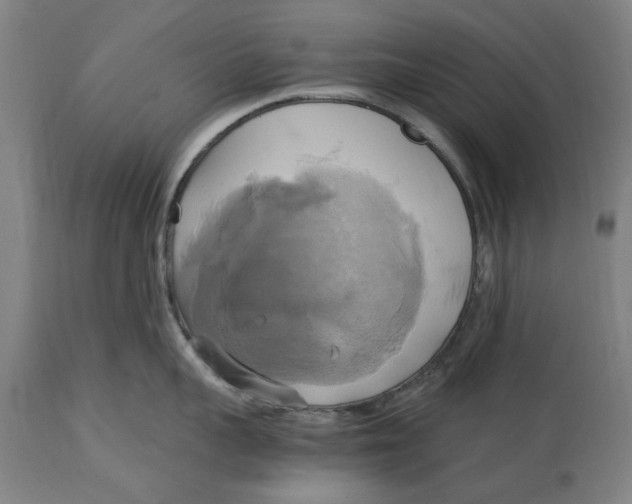 X0000114700959200911181314