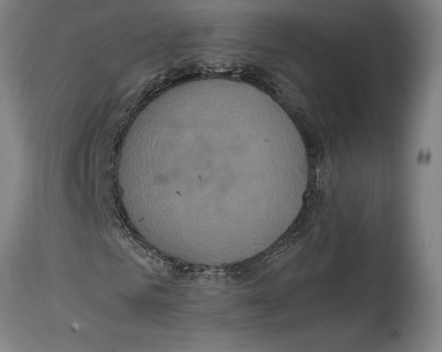 X0000114700961200911181313