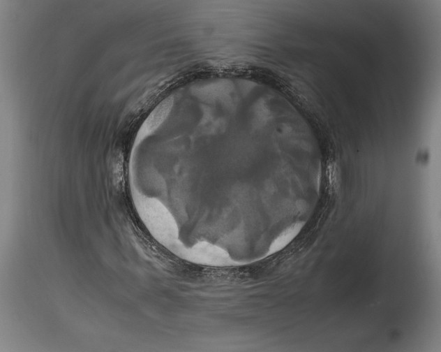 X0000114700963200911181313