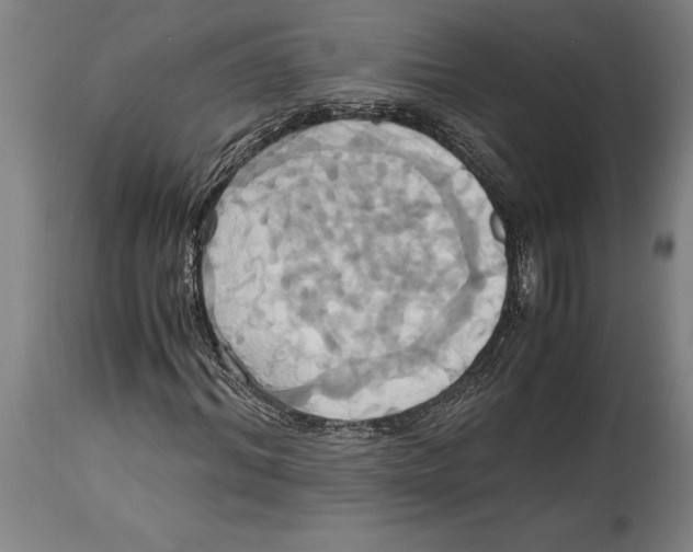 X0000114700964200911181313