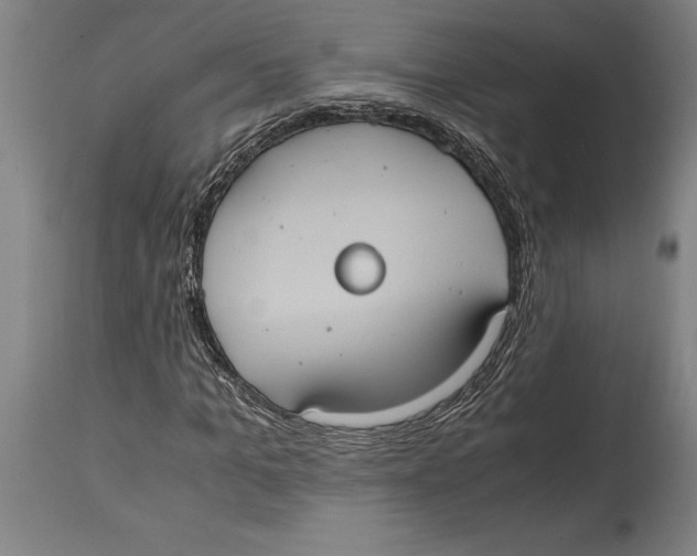 X0000114700965200911181313