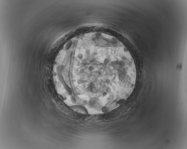 X0000114700967200911181313