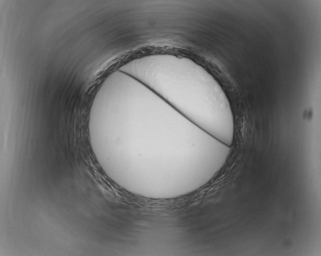 X0000114700968200911181313