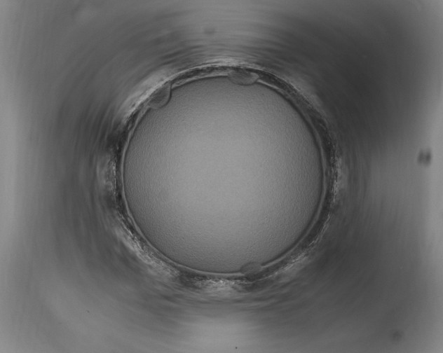 X0000114700969200911181313