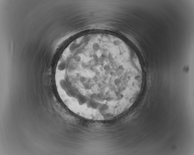 X0000114700971200911181313