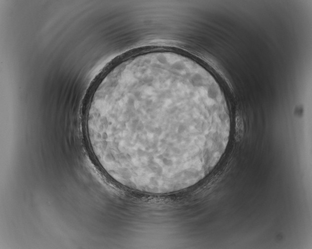 X0000114700972200911181313