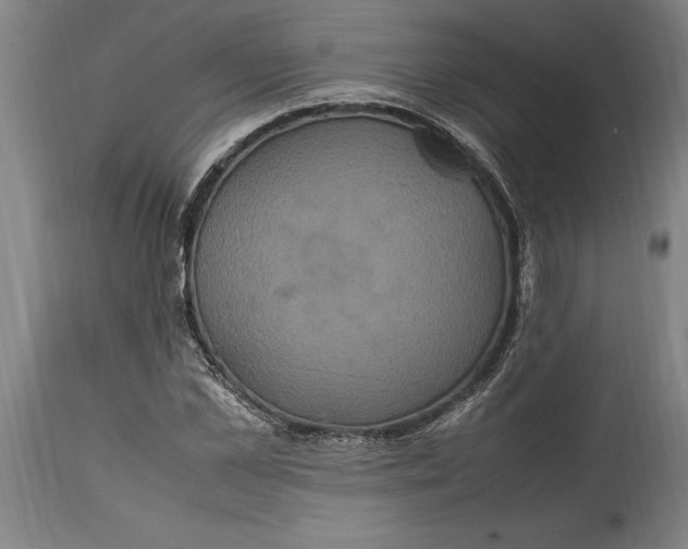 X0000114700973200911181313