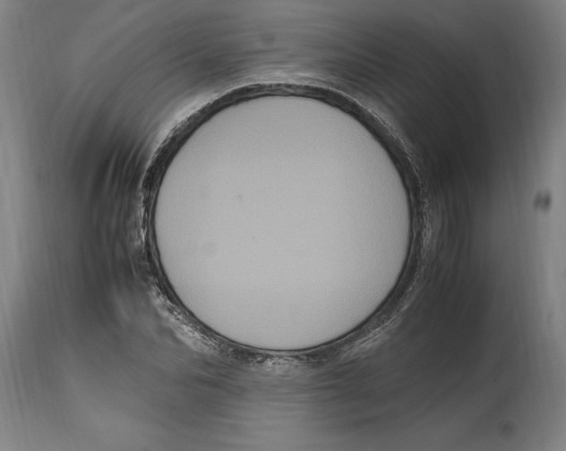 X0000114700974200911181313