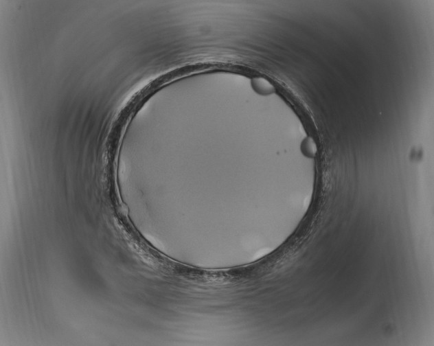 X0000114700975200911181313