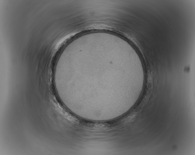 X0000114700979200911181313