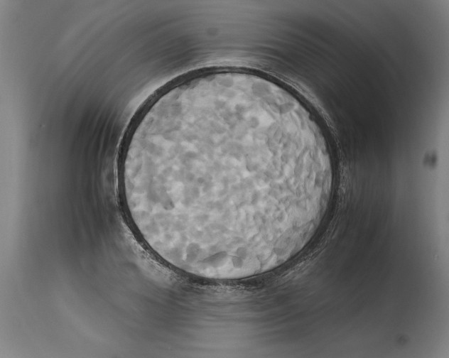 X0000114700980200911181313