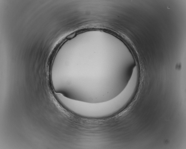 X0000114700981200911181313