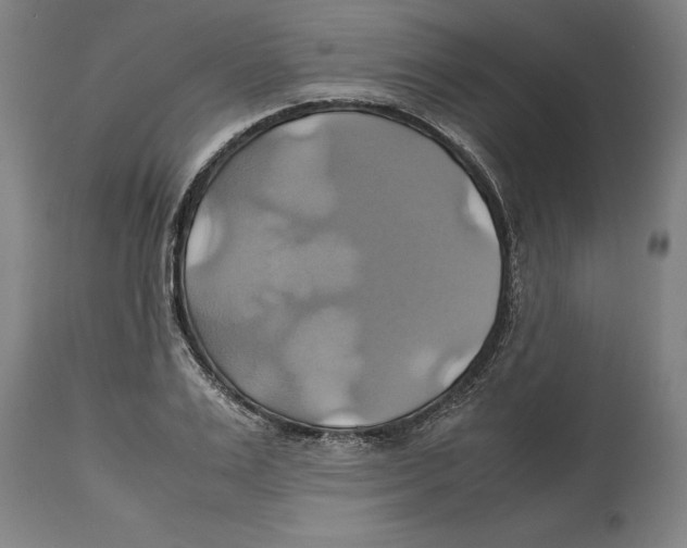 X0000114700983200911181313