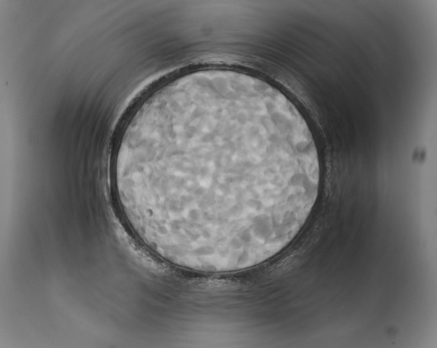 X0000114700984200911181313