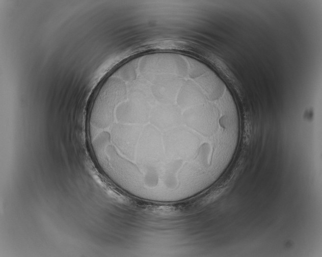 X0000114700986200911181313