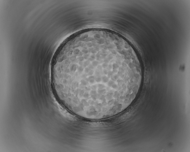 X0000114700988200911181313