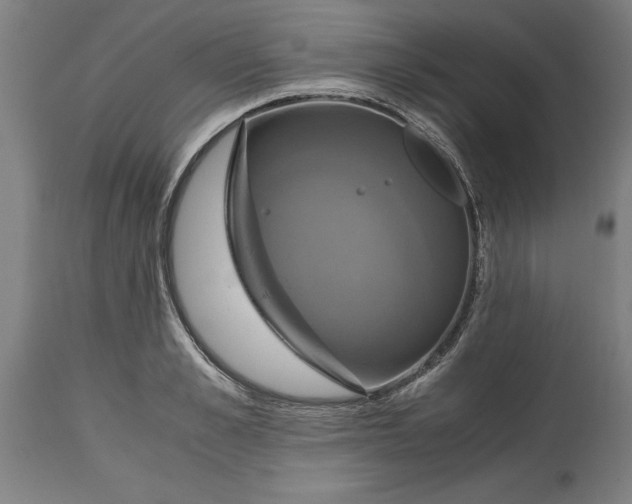 X0000114700989200911181313