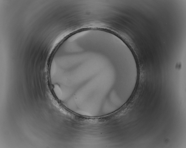 X0000114700990200911181313