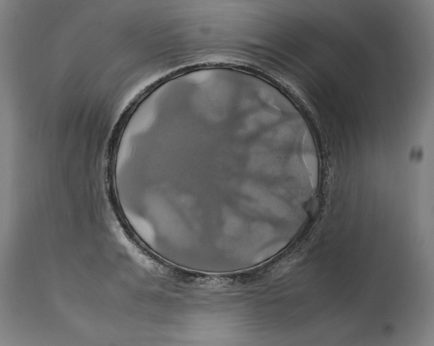 X0000114700991200911181313