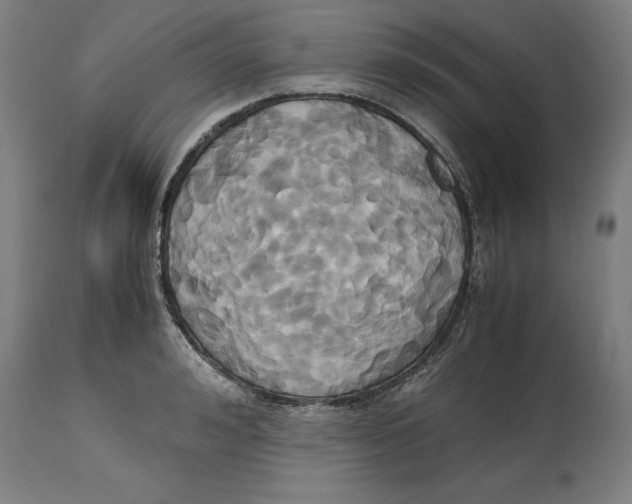 X0000114700992200911181313