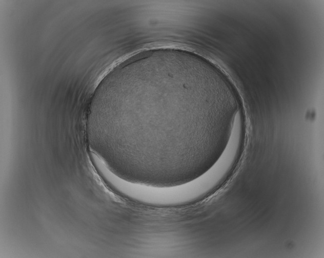 X0000114700993200911181313