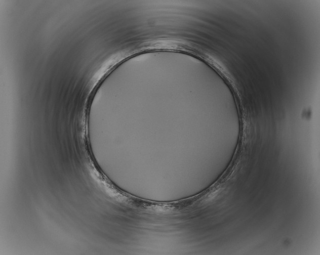 X0000114700994200911181313