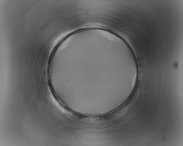 X0000114700995200911181313