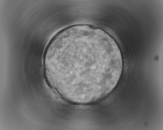 X0000114700996200911181313