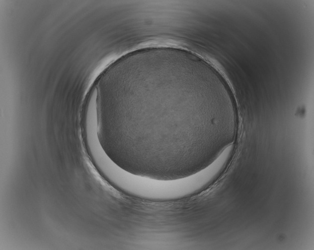 X0000114700997200911181312