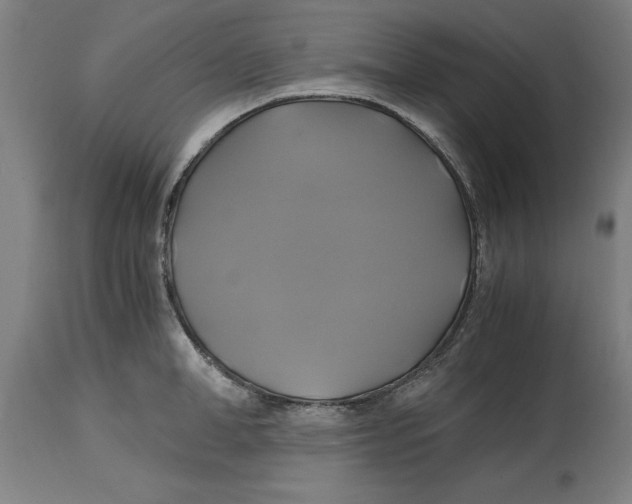 X0000114700998200911181312